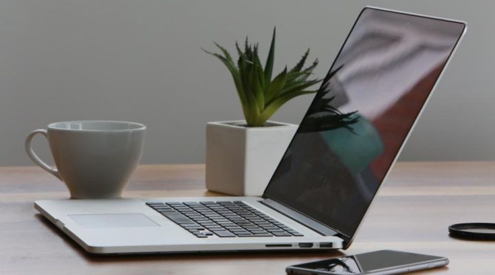 Laptop and plant on a clean office desk